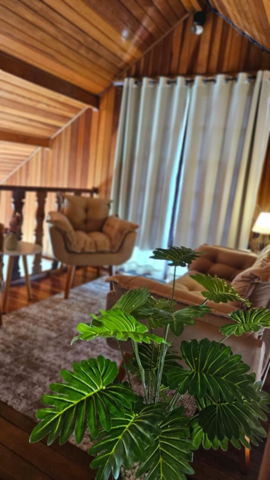 Pousada Araucaria Suites Campos do Jordao Dış mekan fotoğraf